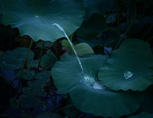 叔叔加油再深点，水泥工老头把校花
