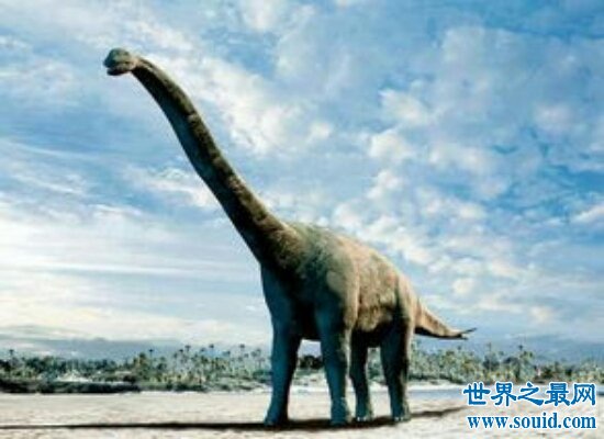 盘点世界上最大的恐龙  远古时期世界的统治者！
