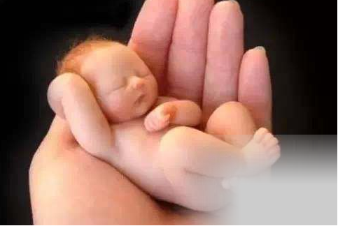 世界上存活下来的最早产最袖珍的婴儿，看上去仿佛是个假娃娃