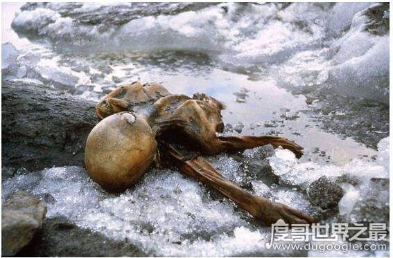 冰人奥兹5300年前死于谋杀，曾有6名接触他的研究者先后死亡
