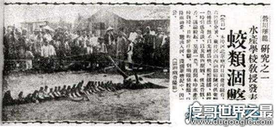 中国最真实的渡劫事件，巨蟒渡劫营口坠龙都充满了神幻色彩