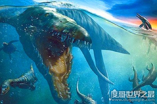 the bloop海怪的体型有多大，是蓝鲸的62.5倍(体长恐超千米)