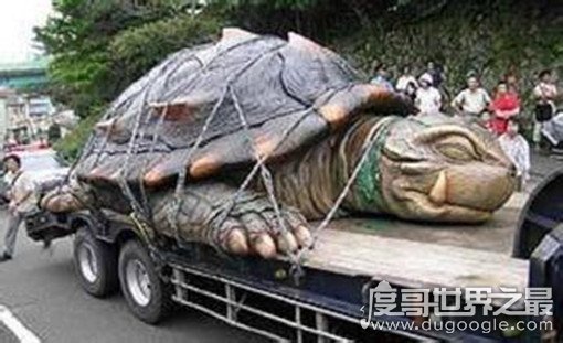 1965年黄河巨龟事件，巨龟比卡车还大？(当事人后代口述)