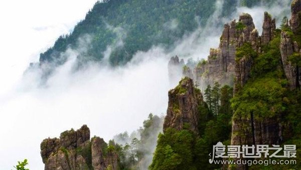 驴头狼的真实图片，神农架曾传出过驴头狼出没的消息