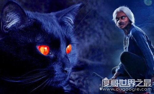 1995年哈尔滨猫脸老太太事件是真的吗，网络谣言不可信