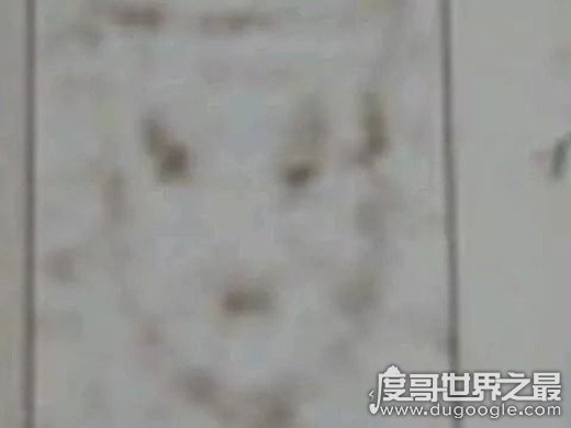 1981香港狐仙事件，大厦内惊现狐仙后孩子离奇死亡(传说)