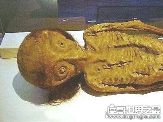 中国南海发现鲛人真假，鱼尾人身体美貌异常(民间传说)