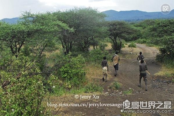 野外生存最强的土著民族：布须曼人，以擅长追踪猎物而闻名