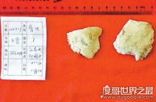 山西吉县发现6200年女娲遗骨，被质疑是旅游公司炒作