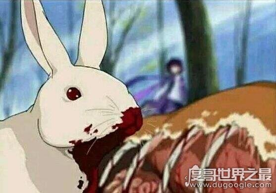 大兔子病了二兔子瞧的恐怖故事，是十兔子完美的借刀杀人案