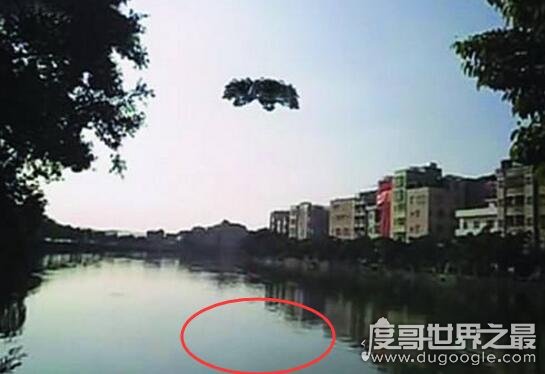 8·30广州岑村ufo事件视频，专家鉴定合成漏洞百出