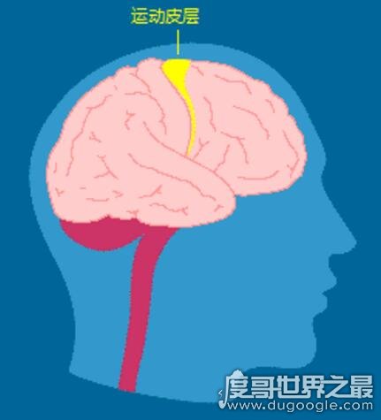 神奇的康斯塔姆现象，手臂不受控制漂浮在空中