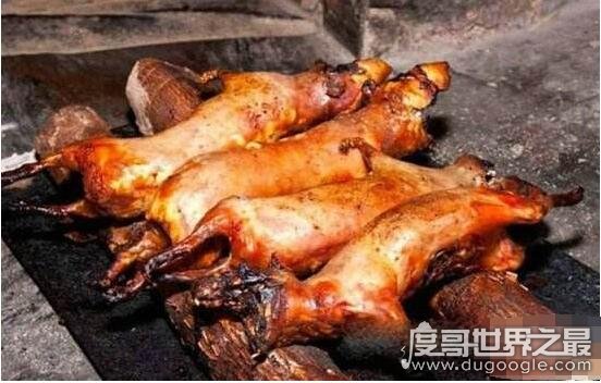 老鼠肉能吃吗，能吃而且好吃(附做法及注意事项)