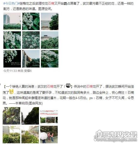 石楠花的味道充满了男性荷尔蒙，空气中满是精液让人怀孕