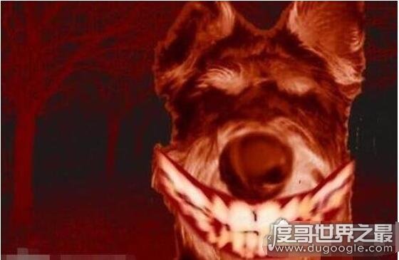 smile dog微笑狗为什么吓人，明白恐怖原理后再也不怕了