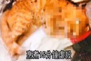 微波炉虐猫事件，死变态将猫咪活活烤熟致死