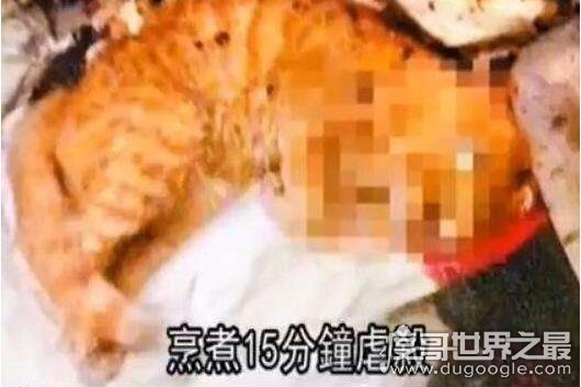 微波炉虐猫事件，死变态将猫咪活活烤熟致死