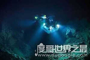 海底一万米有生物吗，只有少量生物存在(数量最多的是双眼钩虾)