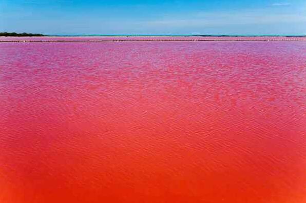 骇人听闻的伊拉克血湖，真正被鲜血染成的红色湖