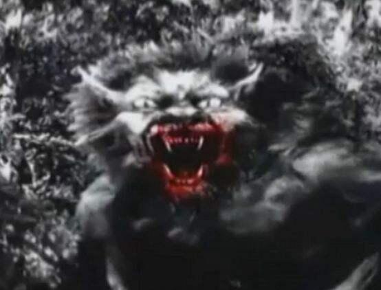 未知生物布雷路怪兽，目击者称是身高超过2米的狼人