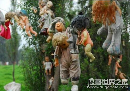 诡异的墨西哥娃娃岛，岛上悬挂数千只鬼娃娃(神秘传说)