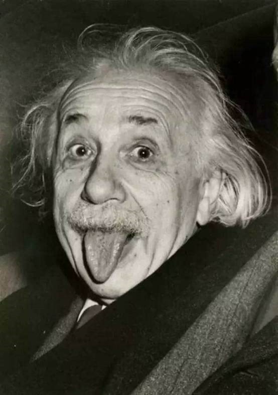 爱因斯坦的大脑被切成240片，结果什么都没研究出来