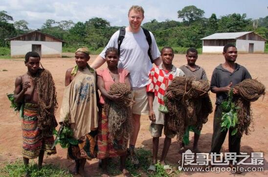 非洲小矮人俾格米人，平均身高仅1米3(遭残忍屠杀)