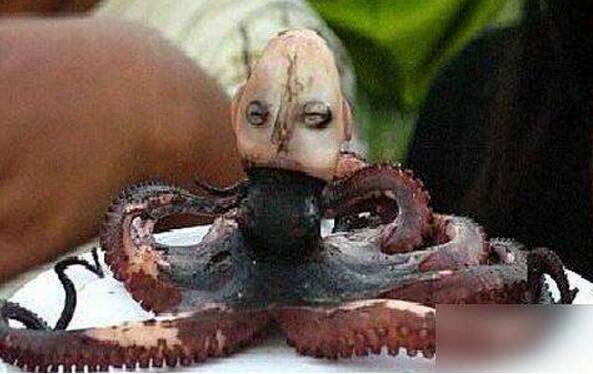 揭秘印尼章鱼人真相，人头章鱼是因被煮到变形(视频)