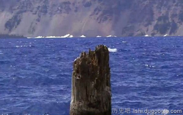 俄勒冈火山口湖垂直地漂浮120年的树桩