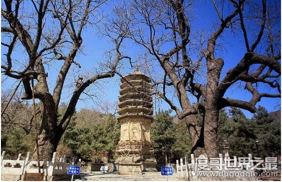 北京郊区最大的寺院是，潭柘寺(总面积达121公顷以上)