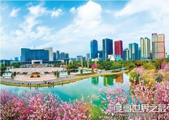 花城是哪个城市，广东省省会广州(四季花卉盛开/花市众多)