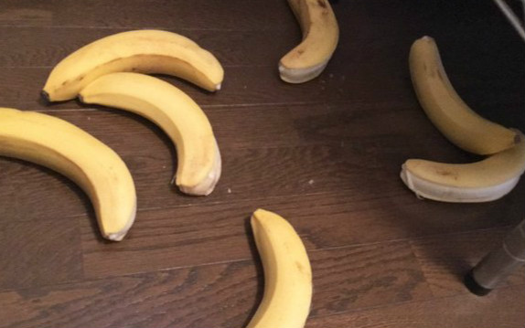 天气太热...打开家门发现8根香蕉竟「集体跳楼身亡」！