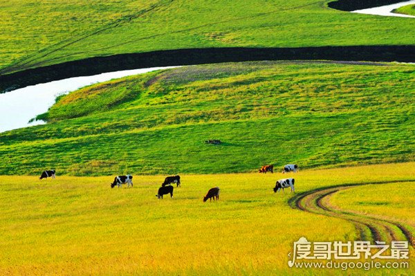 中国最小的城市，三沙市(陆地面积仅有10平方公里)