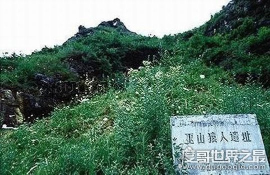 我国境内最早的人类是巫山人，距今200万年(比元谋人早30万年)