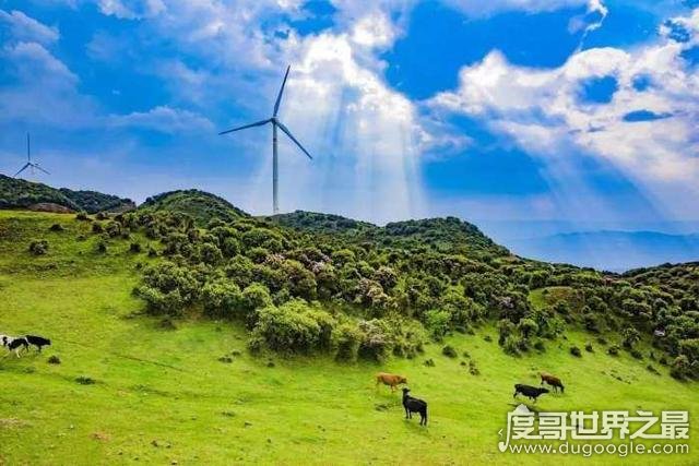 中国夏天哪里最凉快，中国凉都六盘水市(夏季平均温度19.7℃)