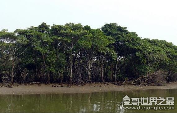 中国最美八大海滩，这些人气超高的海滩每一个都风景美如画