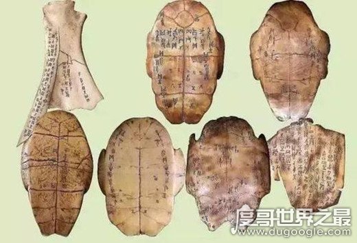 中国最古老的文字，商周时期的甲骨文(刻在兽骨上的文字)