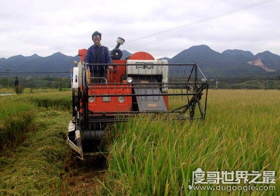 中国四大米市是哪里，分别是九江、无锡、芜湖、长沙或沙市