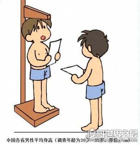 中国男性平均身高是多少，1.67米(中国各省份男性平均身高排名)