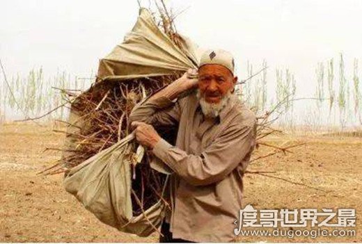 世界上最长寿的男人，图如普·艾麦提127岁(最长寿女性罗美珍)