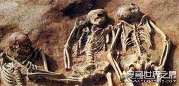 4米中国巨人只剩骸骨，当前中国最高人为鲍喜顺(身高2.36米)