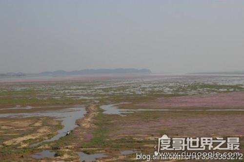 中国最大的淡水湖，鄱阳湖面积达3960平方公里(正面临枯竭)