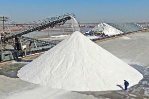 我国最大的盐场，长芦盐场的产盐量占全国总产量四分之一