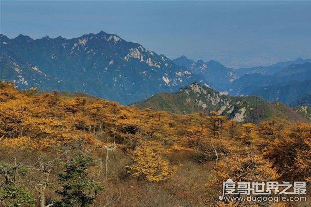 重庆最高的山，第一高峰阴条岭2796米(重庆十大高山排名)