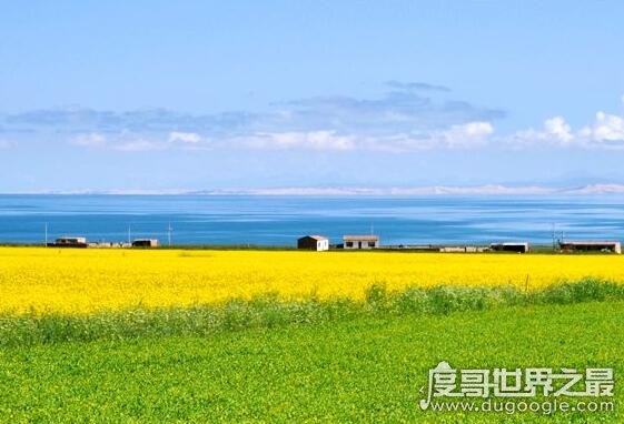 中国最大的咸水湖，4435多平方公里的青海湖(8年来不断在增大)