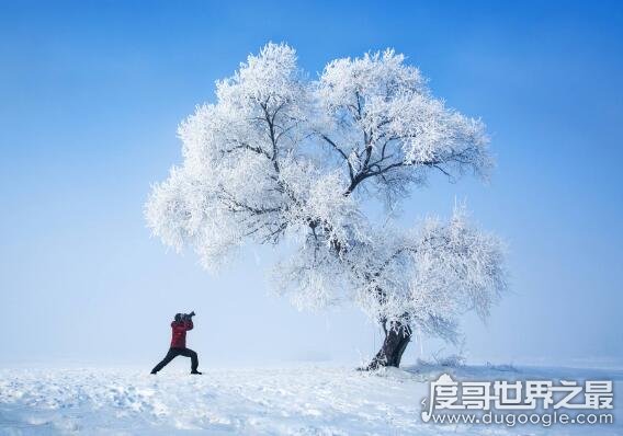 中国最美的地方，这五个地方全都去过的绝对是资深驴友