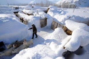 历史上我国最低气温，2009年根河市检测出-58℃的超低温