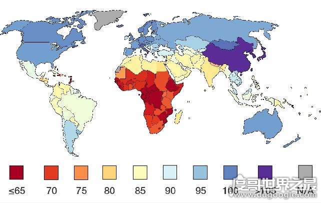 目前中国智商最高的人，中国IQ第一人陶哲轩(IQ：230)