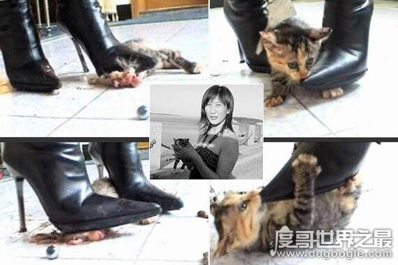 高跟鞋虐猫事件，女子穿高跟鞋活活踩死可爱的猫咪