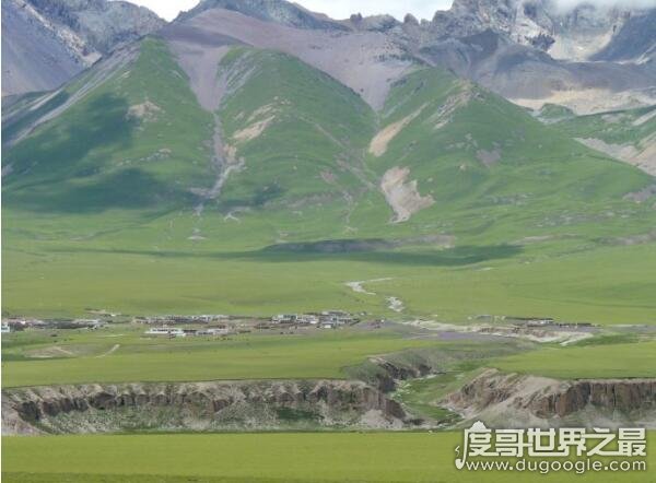 中国最大的草原是羌塘草原，60万平方公里(呼伦贝尔的6倍)